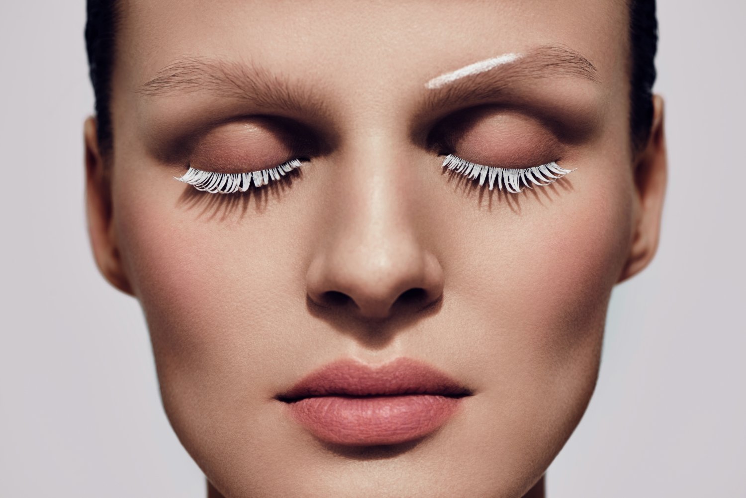 The Master. The Artist Talents School